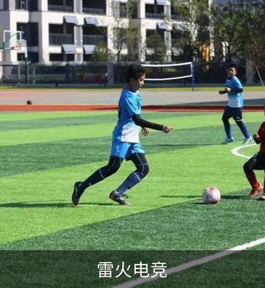 雷火电竞介绍